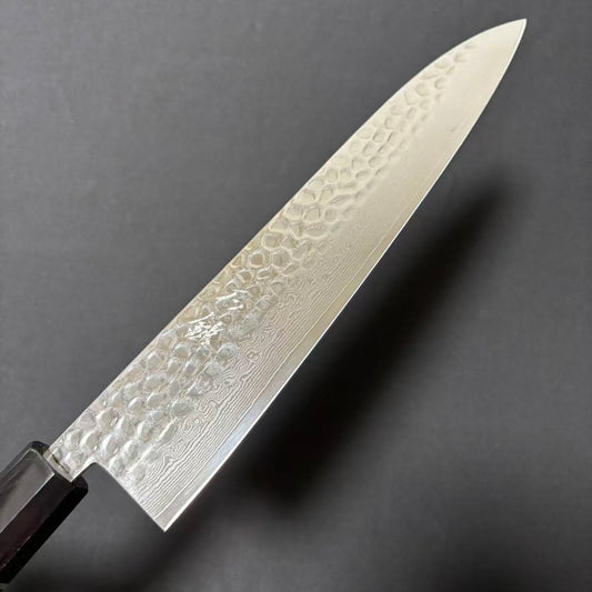 Gyuto VG10 Damascus 69-layer Tsuchime Ebony 210mm