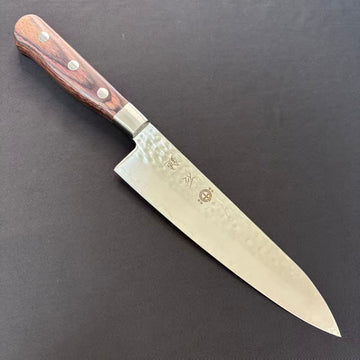 Gyuto VG10 Damascus 67-layer Tsuchime Western 210mm